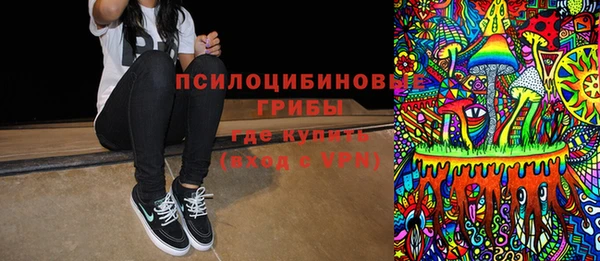 кокс Белокуриха